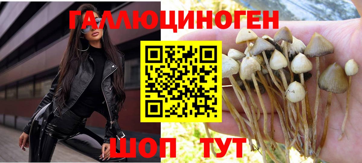 Псилоцибиновые грибы MAGIC MUSHROOMS  Галлюциногенные грибы Cubensis  Полысаево  Вход с VPN 