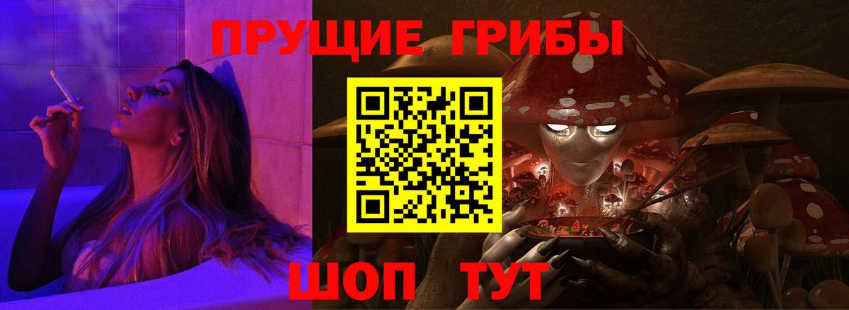 Псилоцибиновые грибы GOLDEN TEACHER Полысаево